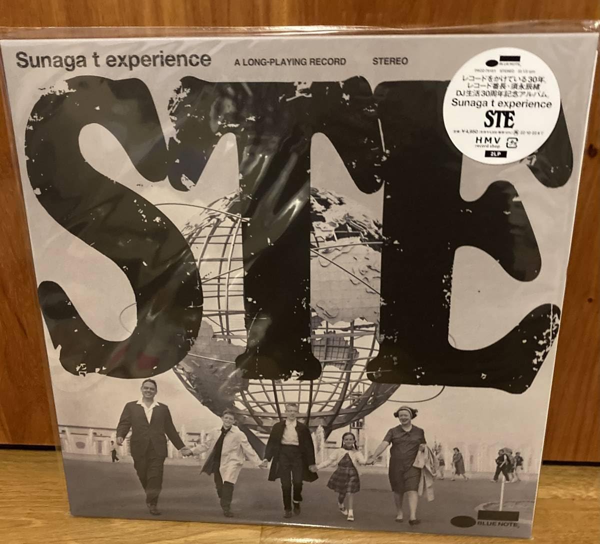sunaga t experience ego wrappin STE アナログ レコード 色彩の